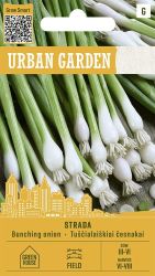 Onion Winter Strada Seed